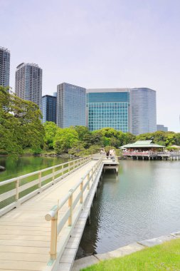 Tokyo, Japonya 'daki Hama-rikyu bahçeleri.