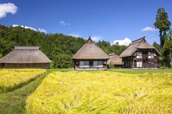 Shirakawa-go 'nun tarihi köyleri ve Gokayama, UNESCO' nun Japonya 'daki dünya mirası. Eski geleneksel Japon evleri ve pirinç tarlaları 