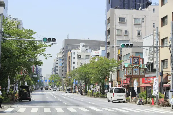 Tokyo, Japonya 'nın sokak manzarası 
