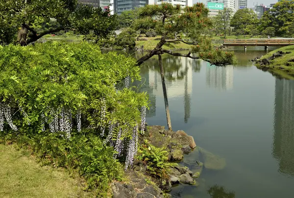 Göletli güzel Japon parkı