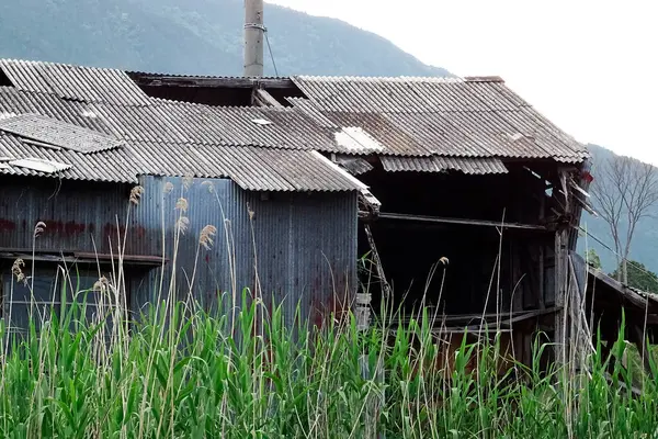 Çürük Metal Çatı ile Harap Edilmiş Kırsal Kaplama