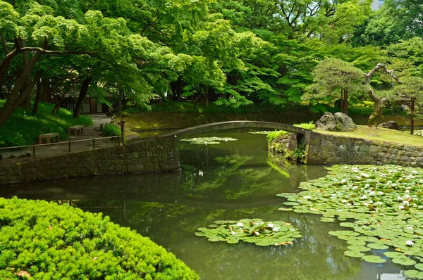 Gölet ve köprüsü olan Japon bahçesi manzarası