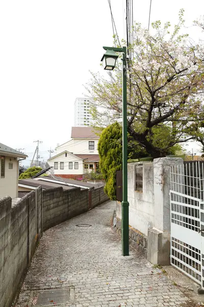 Gün ışığı, Japon sokak mimarisinin temiz çizgilerini ve birçok katmanını açıkça tanımlıyor..