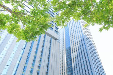 yeşil ağaç ve şehrin modern binası