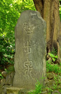 Koishikawa Korakuen Bahçeleri, Japonya