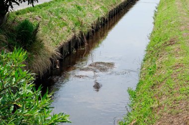 Şehrin güzel su kanalı manzarası, su arıtma sistemi.                    