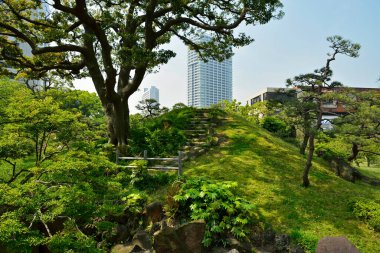 Yazın güzel Japon parkı