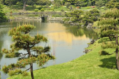 Göletli Japon Tapınağı Bahçesi