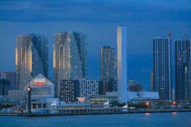 Tokyo şehrinin gökyüzü manzarası