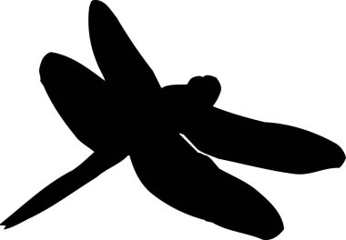 Siyah yusufçuk silueti beyaz arka planda izole edildi 