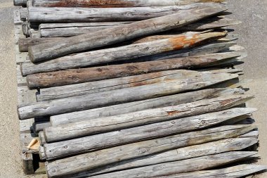 Bahçedeki eski ahşap kütükler.