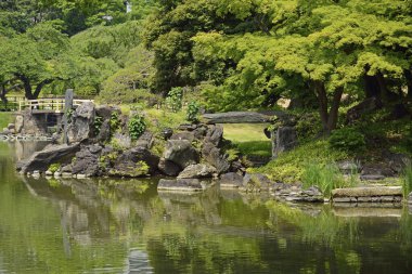 Japon parkındaki güzel yeşil gölet manzarası