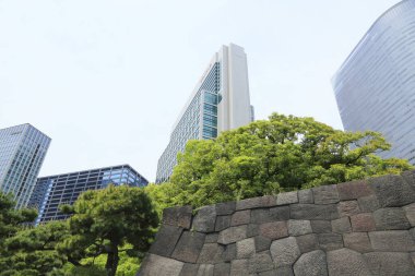 Tokyo, Japonya 'daki Hama-rikyu bahçeleri.