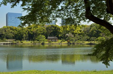 Tokyo, Japonya 'daki yeşil şehir parkı.
