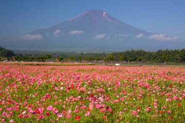 Yamanakako Gölü 'ndeki Fuji Dağı' nın güzel manzarası.
