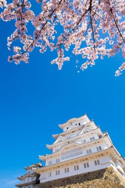 Osaka, Japonya Osaka Kalesi bahar mevsiminde 