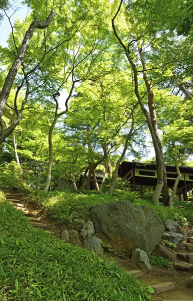 Yazın güzel Japon parkı