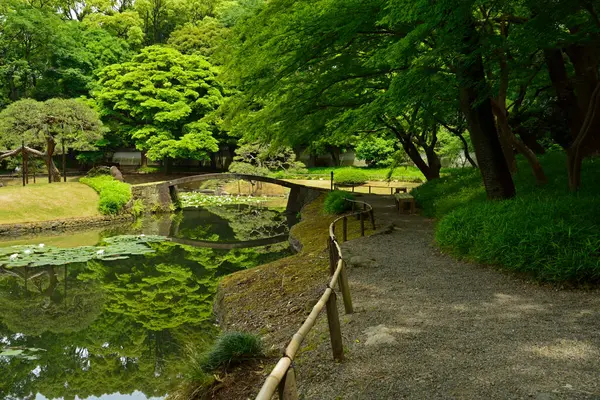 Gölet ve köprüsü olan Japon bahçesi manzarası