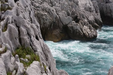 Vahşi kayalık sahil kıyısı ve deniz.