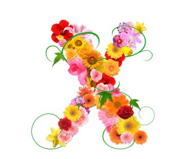 Beyaz arkaplanda izole edilmiş renkli çiçeklerden gelen X harfi, 3D görüntüleme 