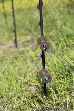 steel wire fence on green grassy field  