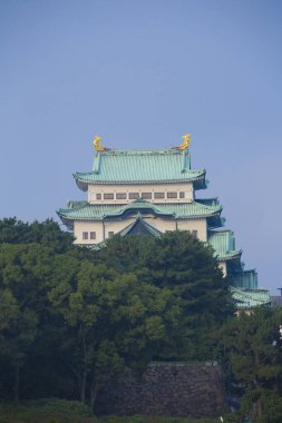 Japon tarihi şatosu yemyeşil ağaçların üzerinde yükseliyor.