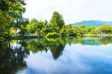 Parktaki gölün yaz manzarası 