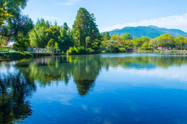 Parktaki gölün yaz manzarası 