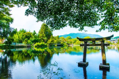 Parktaki gölün yaz manzarası 