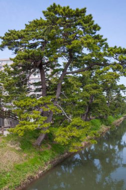 Parkın güzel manzarası