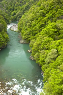 Yeni Zelanda 'nın güneyinde mavi göl