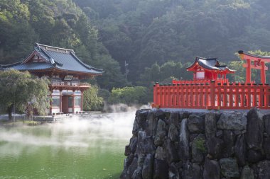 Puslu yeşil göletin yanındaki geleneksel Japon tapınağı binaları