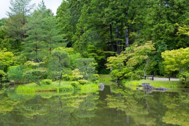Yaz parkında yeşil ağaçları ve çalıları olan bir gölet. 
