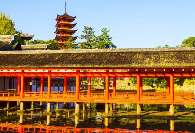 Japonya Miyajima 'daki güzel Itsukushima Tapınağı