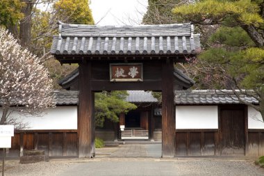 Antik tapınak binası, Asya kültürel mimarisi