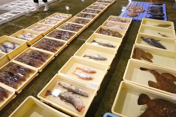 Raw Fish Seafood Market — Stock Photo, Image