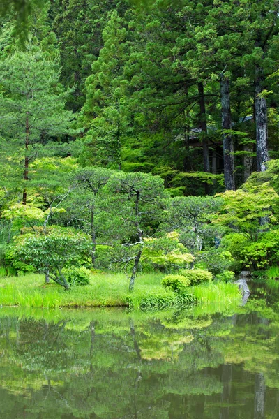 Étang Avec Arbres Verts Buissons Dans Parc Été — Photo