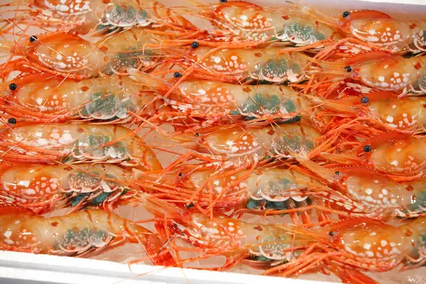 Background Many Shrimps Seafood — Stock Photo, Image