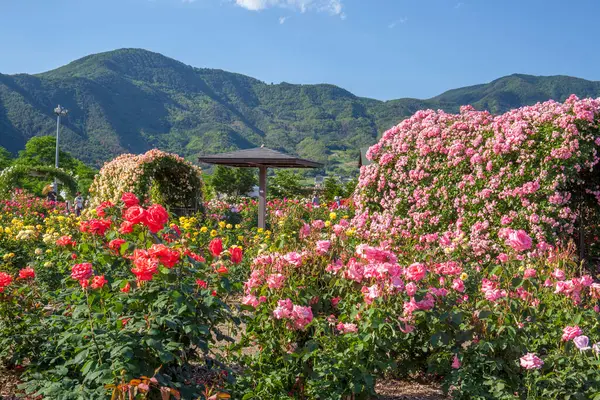 Tayland şehrinin güzel manzarası