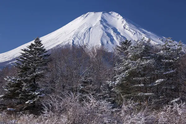 Monte Fuji Com Inverno — Fotografia de Stock