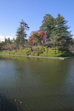 Güz parkında göl ve ağaçlarla güzel bir manzara.     