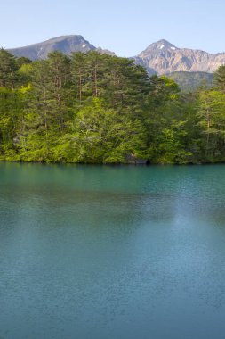 Doğanın arka planında ağaçlarla çevrili güzel göl
