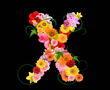 Siyah arkaplanda izole edilmiş renkli çiçeklerden gelen X harfi, 3D görüntüleme 