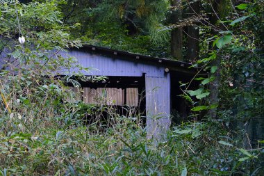 Ormanda terk edilmiş eski bir evde.