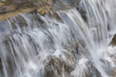 view of waterfall in the forest