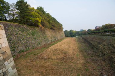 Yeşil şehir parkındaki eski taş duvar  