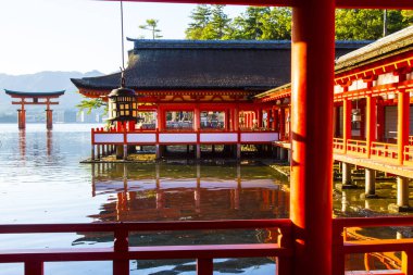 Japonya Miyajima 'daki güzel Itsukushima Tapınağı