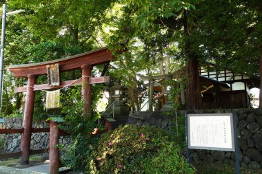 Antik tapınak binası, Asya kültürel mimarisi