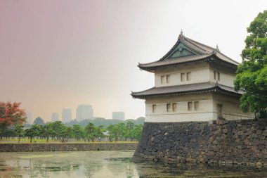  Japon tarzı kale Tokyo İmparatorluk Sarayı 'nda yer almaktadır.