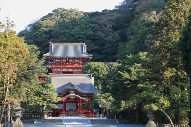 Güzel Japon tapınağı, Budizm konsepti